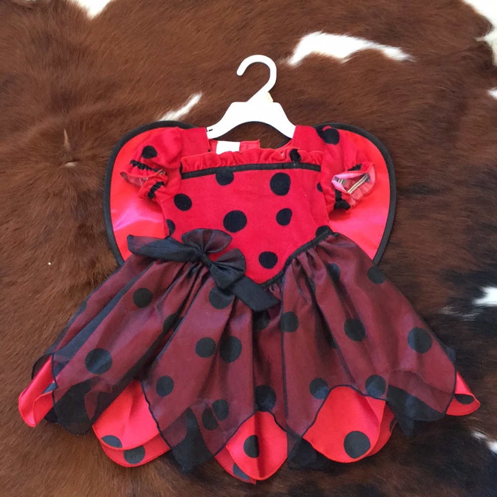 Ladybug costume